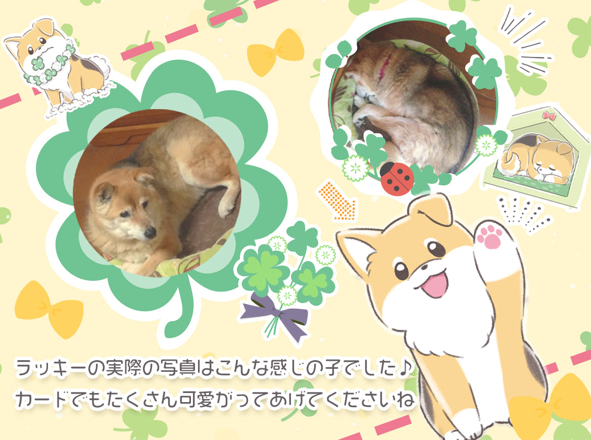 ザ・ラッキーオラクル THE LUCKY ORACLE