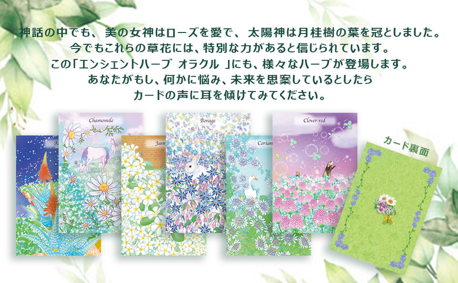 大人気YOUTUBER milky Card therapy 監修】エンシェント ハーブ